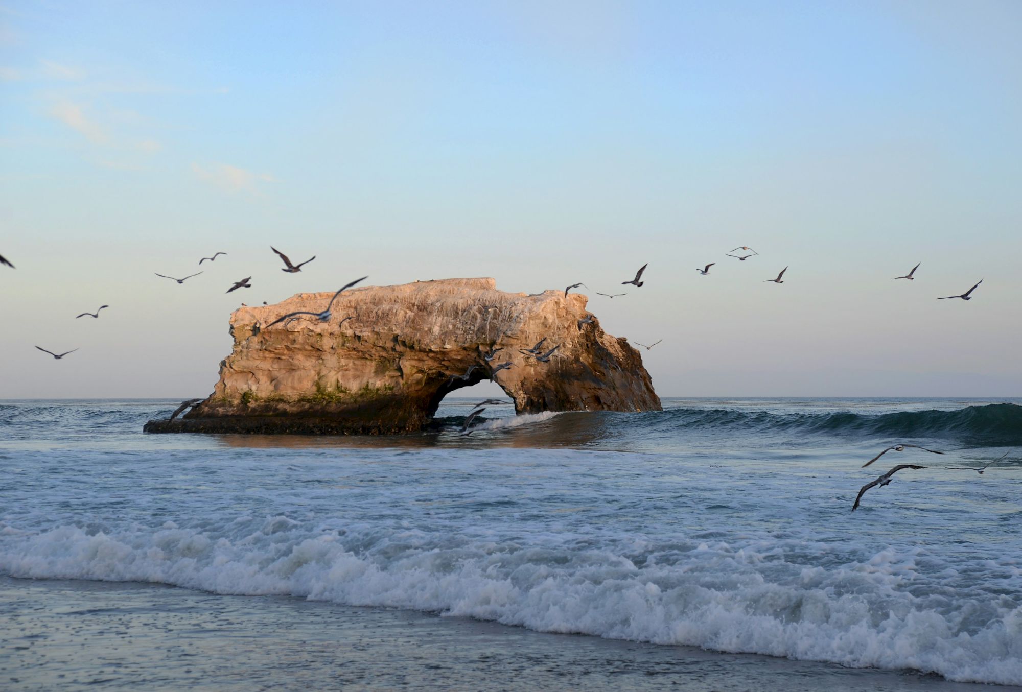 Seabird silhouettes fly above a natural rock arch in the ocean, waves rolling in, pastel sky at dusk or dawn, tranquil coastal scene.