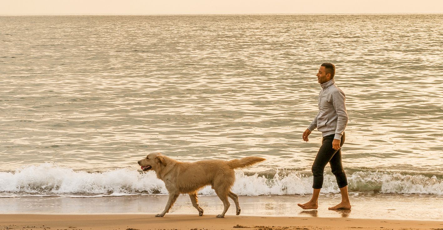 A person walks along the beach at sunset with a golden retriever, near gentle waves and warm, sandy shore.
