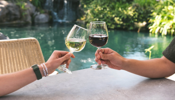 Two people clinking wine glasses over a table by a pool or fountain, toasting.